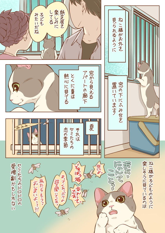 猫に癒されるフルカラーコミック『ねこのつめあわせ』(乱痴気事虫所/砂虫隼/まるかふぇ電書)の画像 猫に癒されるフルカラーコミック『ねこのつめあわせ』(乱痴気事虫所/砂虫隼/まるかふぇ電書)の画像