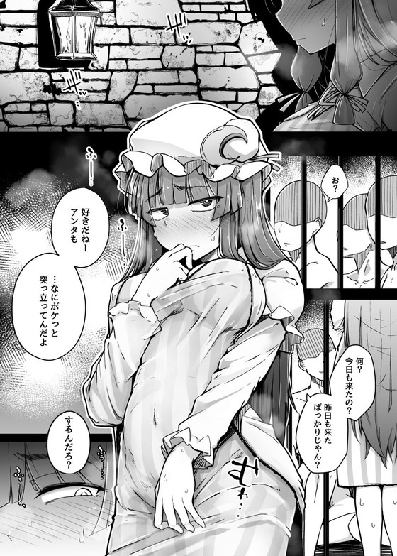 【東方 パチュリー】『穴とむっつりどすけべだいとしょかん3』(自家発電処/flanvia)の画像 【東方 パチュリー】『穴とむっつりどすけべだいとしょかん3』(自家発電処/flanvia)の画像
