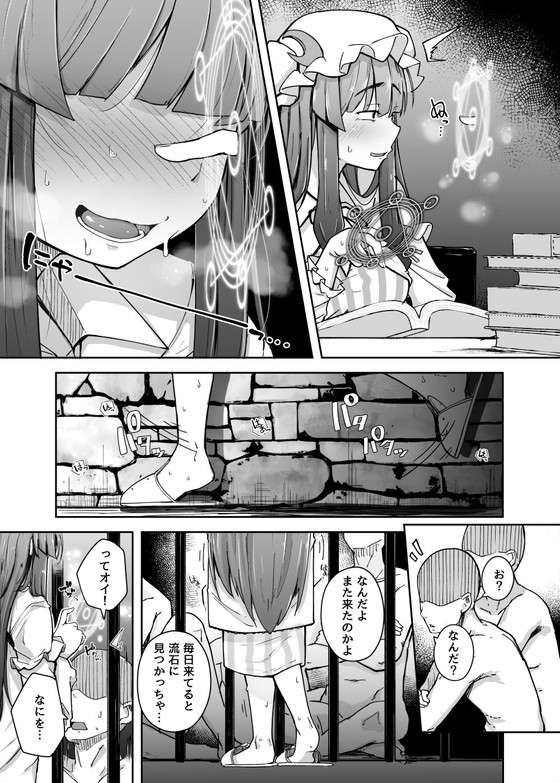 【東方 パチュリー】『穴とむっつりどすけべだいとしょかん3』(自家発電処/flanvia)の画像 【東方 パチュリー】『穴とむっつりどすけべだいとしょかん3』(自家発電処/flanvia)の画像