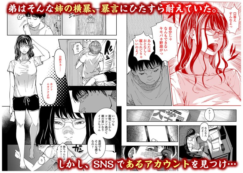 【男子高校生×裏垢姉 近親相姦】姉貴のエロ垢見つけたら｜三崎／るりいろシュガーの画像