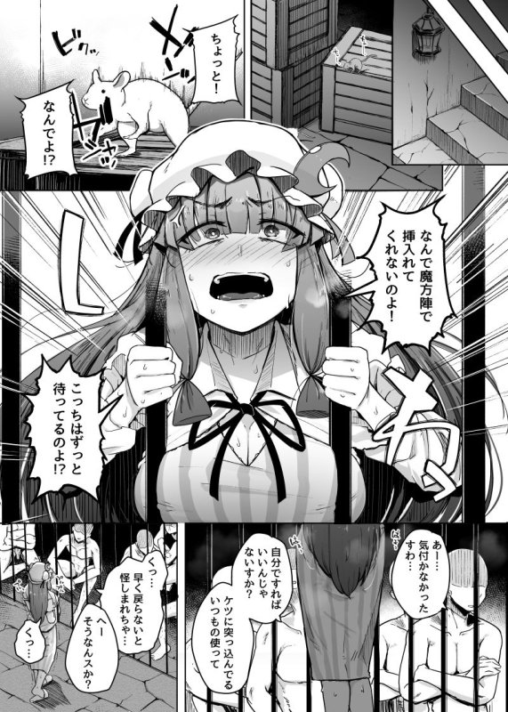 【東方Project パチュリー&小悪魔】穴とむっつりどすけべだいとしょかん5|自家発電処/flanviaの画像 【東方Project パチュリー&小悪魔】穴とむっつりどすけべだいとしょかん5|自家発電処/flanviaの画像